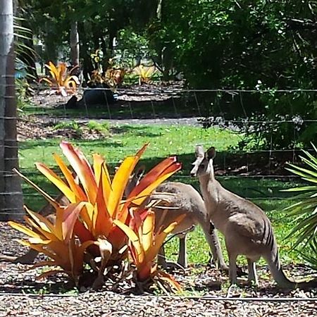 Bluegrass Bnb Bundaberg Exteriér fotografie