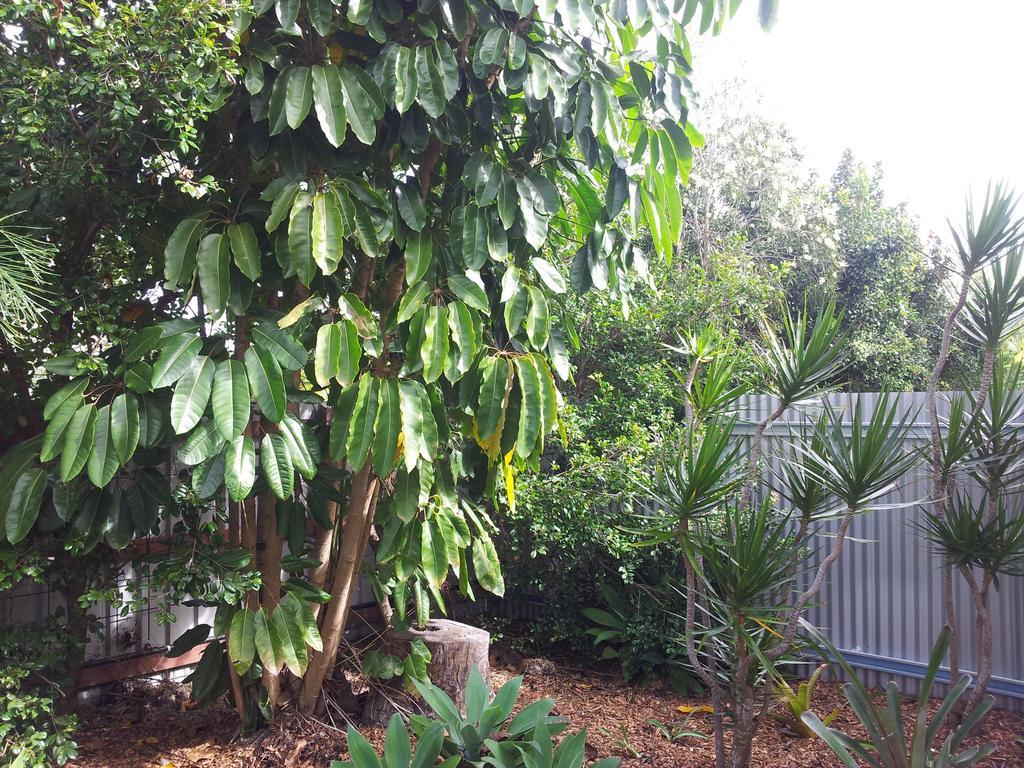 Bluegrass Bnb Bundaberg Exteriér fotografie